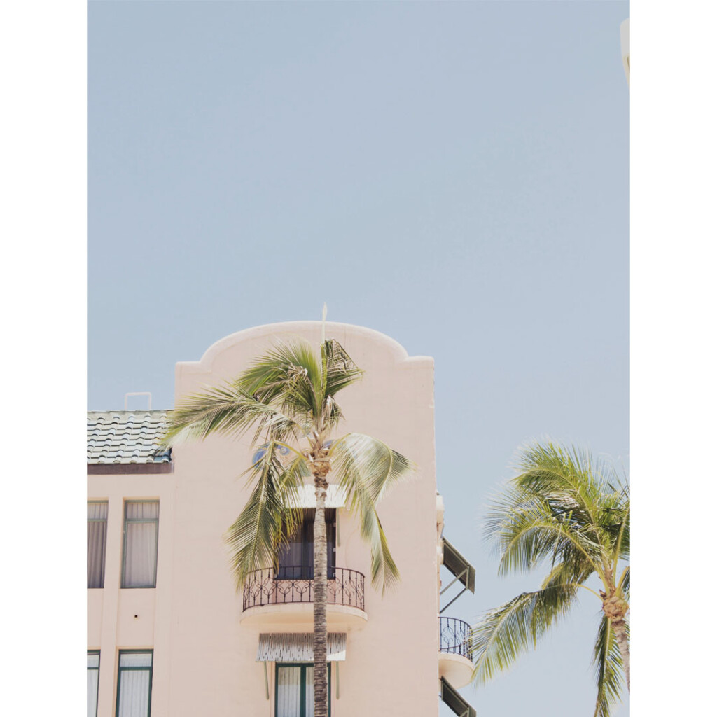 青空とヤシの木 建物と調和した穏やかな風景 good mood journal fig